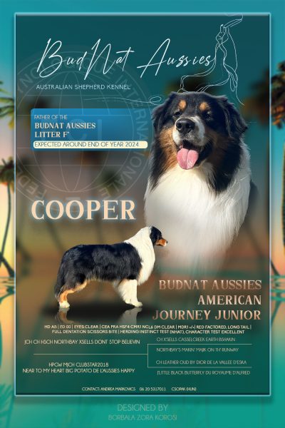 Cooper_advert_00