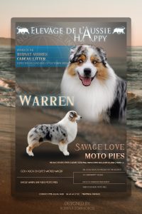 Warren_advert